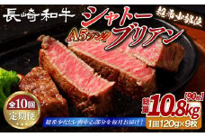 B395 【10回定期便】長崎和牛A5等級 シャトーブリアン 120g×9枚 総量90枚 10.8kg 【田中精肉店】シャトーブリアン ヒレ フィレ ステーキ 赤身 和牛 黒毛和牛 牛肉 希少部位 定期便