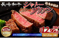 B396 【12回定期便】長崎和牛A5等級 シャトーブリアン 120g×9枚 総量108枚 12.96kg 【田中精肉店】シャトーブリアン ヒレ フィレ ステーキ 赤身 和牛 黒毛和牛 牛肉 希少部位 定期便
