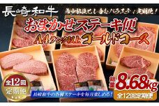 B404 【12回定期便】長崎和牛 希少部位 ステーキ 食べ比べ 定期便 総計8.68kg ゴールドコース【田中精肉店】希少部位 ステーキ多数 ヒレ フィレ ランプ イチボ ミスジ マルシン サーロイン ステーキ定期便