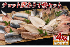 A449 〈かけはし水産〉チョット訳あり干物セット