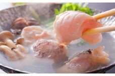 A453 〈よか魚〉長崎産天然クエ鍋とクエ刺身