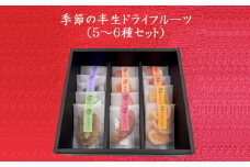 C302 贈答用瑞々しい季節の半生ドライフルーツ