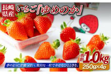 C303 いちご『ゆめのか』