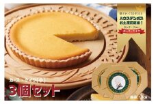 F211 カース・ケイク(小) 3個セット 【ハウステンボス タンテ・アニー】佐世保 長崎 人気 おいしい チーズケーキ