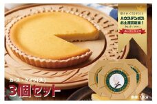 F213 カース・ケイク(大) 3個セット 【ハウステンボス タンテ・アニー】佐世保 長崎 人気 おいしい チーズケーキ