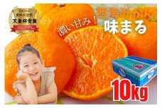 西海みかん｢味まる｣(10kg) / 糖度12度以上 佐世保 長崎  温州みかん ミカン 旬 甘い 家庭用 自宅用 送料無料 長崎県産 常温 ブランドみかん JA 農協