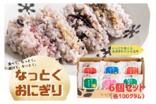 E486 【4種の具材入り】なっとく おにぎり 6個入り（具材4種 / 各100g）【 なっとくおにぎり屋 】七徳御握 おむすび さがびより 使用 米 朝食 夕食 夜食 ランチ 長崎 佐世保 九州   