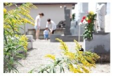 AA068心を込めて磨き上げる　お墓掃除プラン