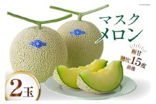 【期間限定発送】AA048 その道一筋の生産者がじっくり丁寧に育てた マスクメロン 2玉入