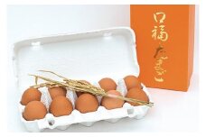 AA006 口福たまご（10個入） ※規格サイズMS以上〜LL未満 【たまご 卵 おすすめ オススメ 低カロリー 高栄養価 ポリフェノール DHA ビタミンE アスタキサンチン 長崎県 島原市】