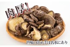 AA019旨味の決め手は名水にあり　肉厚干し椎茸