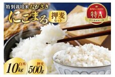 CA053 特別栽培米ながさきにこまる・押麦セット[ 白米 精米 ごはん ご飯 こめ おこめ もちもち おにぎり 粘り おいしい 長崎県産 長崎県産米 長崎にこまる 長崎県 島原市 ]