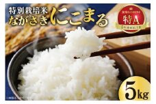 CA023 特別栽培米ながさきにこまる[ 白米 精米 ごはん ご飯 こめ おこめ もちもち おにぎり 粘り おいしい 長崎県産 長崎県産米 長崎にこまる 長崎県 島原市 ]