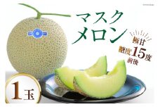 【期間限定発送】AB010 その道一筋の生産者がじっくり丁寧に育てた マスクメロン 1玉入