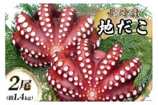 CB044 長崎産 地だこ2尾(約1.4kg)