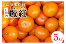 AD021 森崎果樹園自慢の『麗紅（れいこう）』5kg [みかん ミカン れいこう 麗紅 5キロ 果物 森崎果樹園 長崎県 島原市]