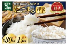 CD103【3回定期便】特別栽培米ながさきにこまる・押麦セット[ 白米 精米 ごはん ご飯 こめ おこめ もちもち おにぎり 粘り おいしい 長崎県産 長崎県産米 長崎にこまる 長崎県 島原市 ]