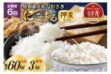 CD104【6回定期便】特別栽培米ながさきにこまる・押麦セット[ 白米 精米 ごはん ご飯 こめ おこめ もちもち おにぎり 粘り おいしい 長崎県産 長崎県産米 長崎にこまる 長崎県 島原市 ]