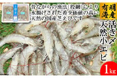 CD190 活き〆 天然小エビ 1kg（500ｇ×2パック）