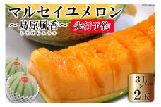 BD201【令和8年度出荷分】マルセイユメロン～島原風香～（3L×2玉） [農事組合法人　『舞岳の里』生産組合 長崎県 島原市 BD201] メロン 赤肉 果物 くだもの フルーツ 産地直送