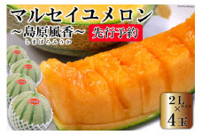 BD203【令和7年度出荷分】マルセイユメロン～島原風香～（2L×4玉）[メロン 赤肉 果物 くだもの フルーツ 産地直送 長崎県 島原市]