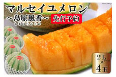 BD203【令和8年度出荷分】マルセイユメロン～島原風香～（2L×4玉） [農事組合法人　『舞岳の里』生産組合 長崎県 島原市 BD203] メロン 赤肉 果物 くだもの フルーツ 産地直送
