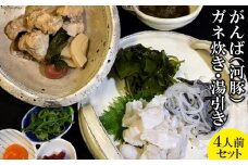 AE001がんば(河豚)ガネ炊き・湯引き4人前セット