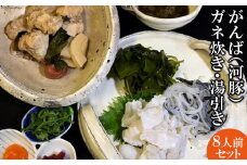 AE003がんば（河豚）ガネ炊き・湯引き8人前セット