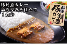 CE037 豚角煮カレー　島原麦みそ仕立て　1食分　〜“島原麦みそ”を隠し味としてコクと深みをプラス〜 [ カレー レトルト レトルトカレー 長崎県 島原市 ]