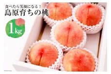 CG090【令和7年度出荷分】食べたら笑顔になる！島原育ちの桃 1kg＜数量限定＞