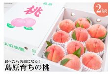 CG091【令和7年度出荷分】食べたら笑顔になる！島原育ちの桃 2kg＜数量限定＞
