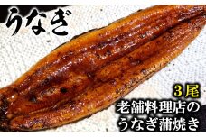 AE050老舗料理店のうなぎ蒲焼き（１７０ｇ×３尾）