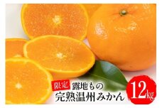 CD002 限定！森崎果樹園の露地もの完熟温州みかん（12kg）[みかん ミカン オレンジ 果物 くだもの フルーツ 露地もの 完熟 温州 長崎県 島原市]