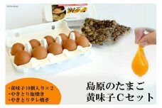 AE138 島原のたまご 黄味子Ｃセット(卵10個入×2パック,やきとり塩焼き・タレ焼き(180g)×各1)　【 たまご 卵 赤卵 20個 焼き鳥 おすすめ オススメ 湧水 長崎県 島原市 送料無料 】