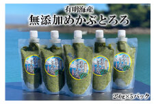AE140 有明海産 無添加めかぶとろろ（250g×5パック） レビューキャンペーン
