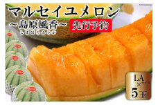 BE160【令和7年度出荷分】マルセイユメロン～島原風香～（LA×5玉）[メロン 赤肉 果物 くだもの フルーツ 産地直送 長崎県 島原市]