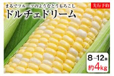 AE156 まるでフルーツのようなとうもろこし 約4kg ドルチェドリーム スイートコーン
