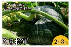 AE157ホクホク甘い！ 長崎県産 くりかぼちゃ 「くり将軍」 約5kg（2～3玉）