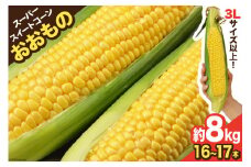 AE218 とうもろこし おおもの スーパースイートコーン 約8kg 【3Lサイズ以上！】
