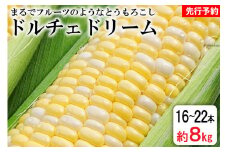 AE219 まるでフルーツのようなとうもろこし 約8kg 【ドルチェドリーム】 スイートコーン