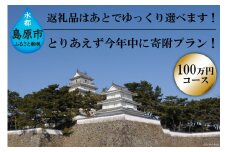 AE256 返礼品はあとでゆっくり選べます！とりあえず今年中に寄附プラン！　【100万円コース】