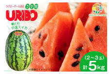 BE276 【令和8年度出荷分】小玉スイカ「うり坊」5kg（1.7kg以上×2～3玉） ～名水百選の里 島原産～
