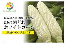 BE278 6月中旬から出荷！「幻の朝どれホワイトコーン！」 Lサイズ以上×5本 ～名水百選の里 島原産～