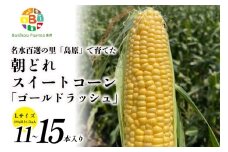 BE279【令和8年度出荷分】5月下旬から出荷！ 朝どれ スイートコーン L×11～15本セット (4.5kg入) ～名水百選の里 島原産～
