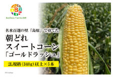 BE280 【令和7年度出荷分】 5月中旬から出荷！「朝どれスイートコーン！」2L×5本セット ～名水百選の里 島原産～