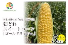 CE280【令和8年度出荷分】 5月下旬から出荷！ 朝どれ スイートコーン L×5本セット(1.8kg入) ～名水百選の里 島原産～