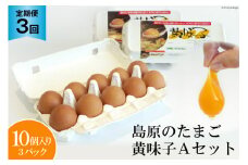 AE289【定期便】島原のたまご 黄味子Ａセット 計3回お届け