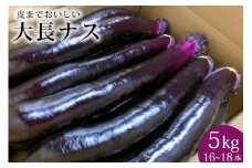 AF004【令和7年度出荷分】皮までおいしい！島原 大長ナス 5kg（16～18本）