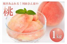 BF017【令和6年度出荷分】 ＜ 数量限定 ＞ 果汁あふれる！川田さん家の 桃 1kg
