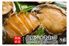 AF030【訳あり】漁協直送！島原ジオあわび 8個（ちょっと小ぶり：6cm以上）